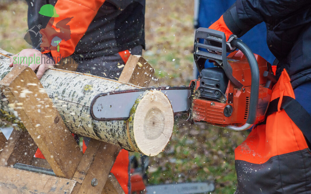 Best budget chainsaw in UK 2022 – Reviews